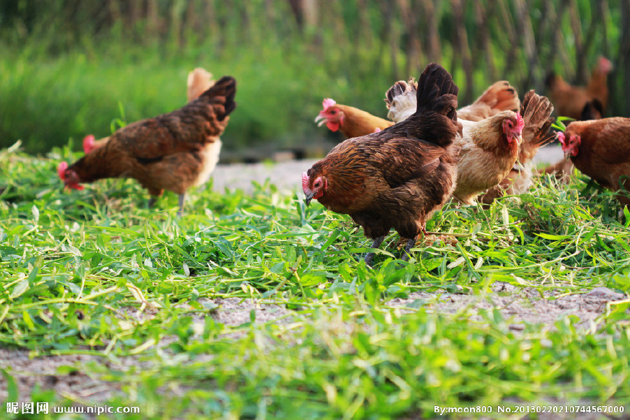 近期晝夜溫差較大，慢性呼吸道又開始猖獗了！